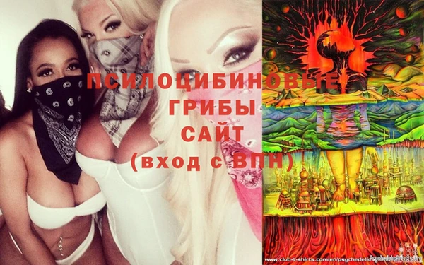 спиды Алзамай