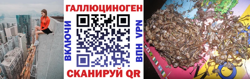 Псилоцибиновые грибы GOLDEN TEACHER  Магадан 