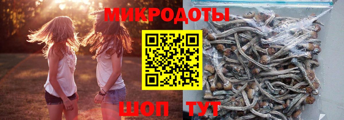 Псилоцибиновые грибы MAGIC MUSHROOMS Магадан